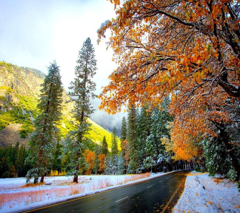 Road Through Snowy Forest — Orange, Serene