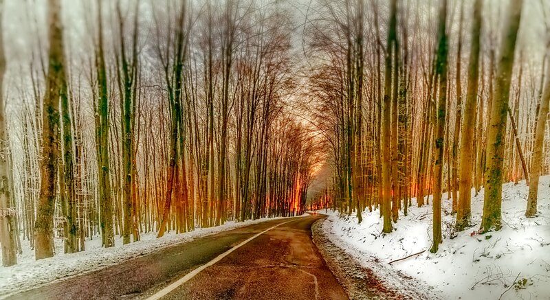 Road Through Snowy Forest