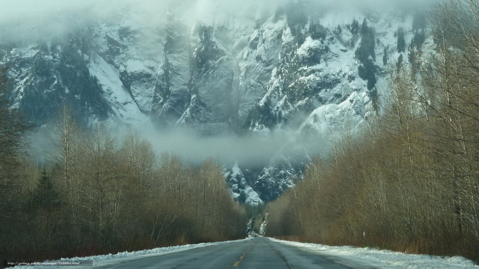 Road through snowy mountains