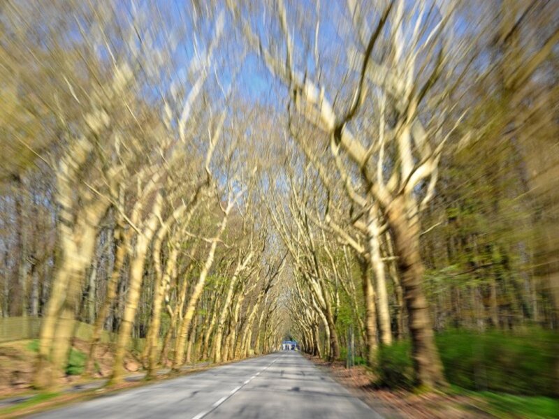 Road Through Tree Tunnel — Green, Serene, Spring