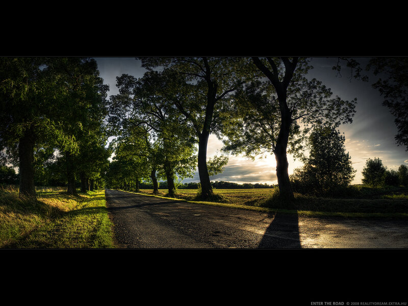 Road Through Trees at Sunset