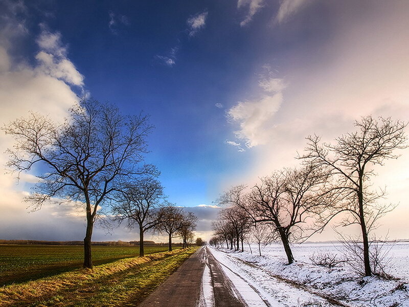 Road through winter fields