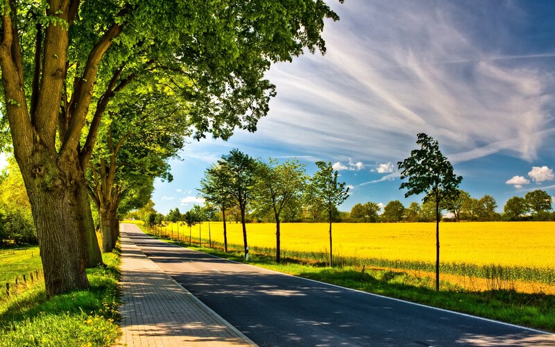Road Through Yellow Field