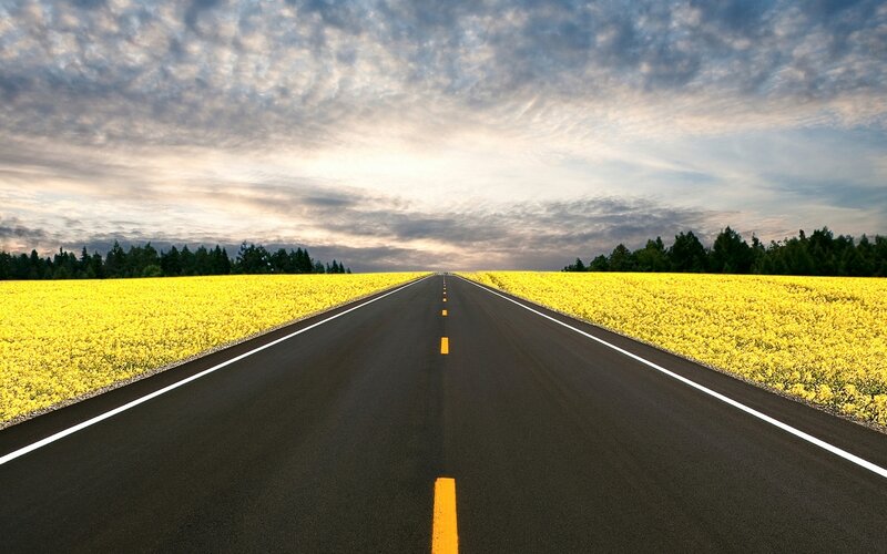 Road Through Yellow Fields — Serene, Sunset