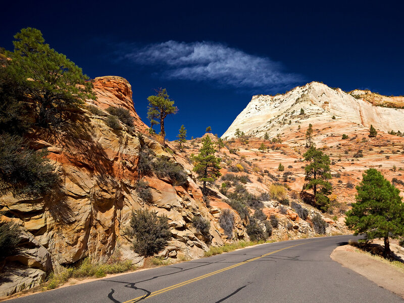 Road through Zion Canyon