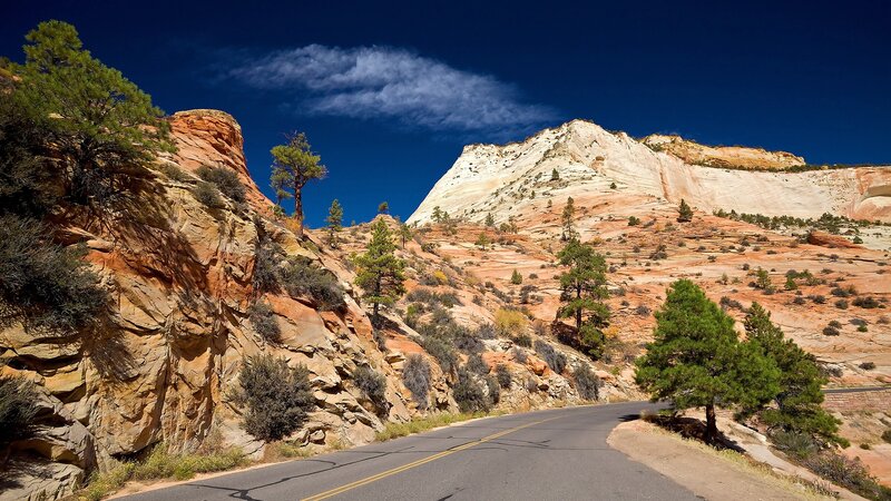 Road through Zion National Park