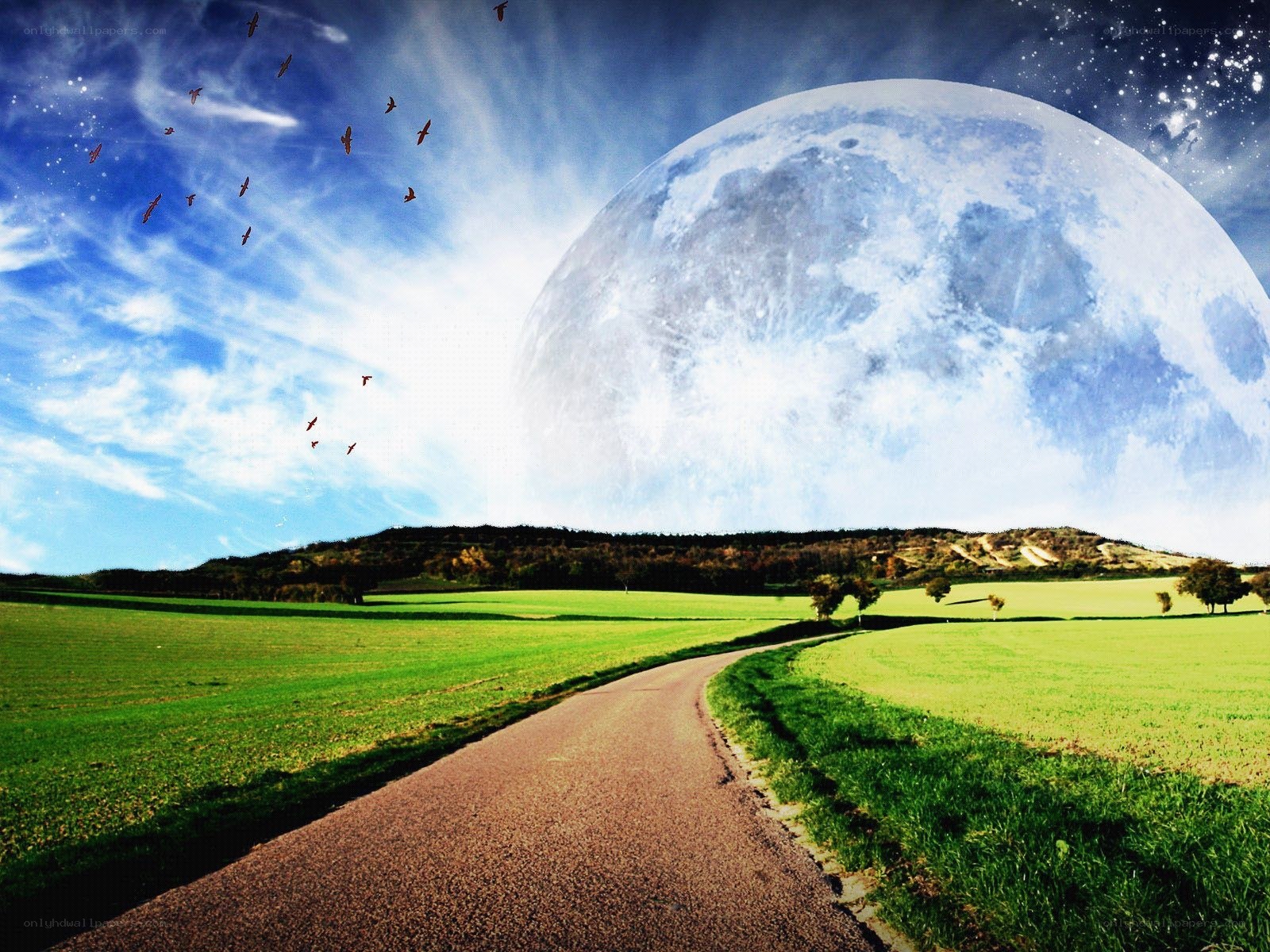 Road to a giant moon