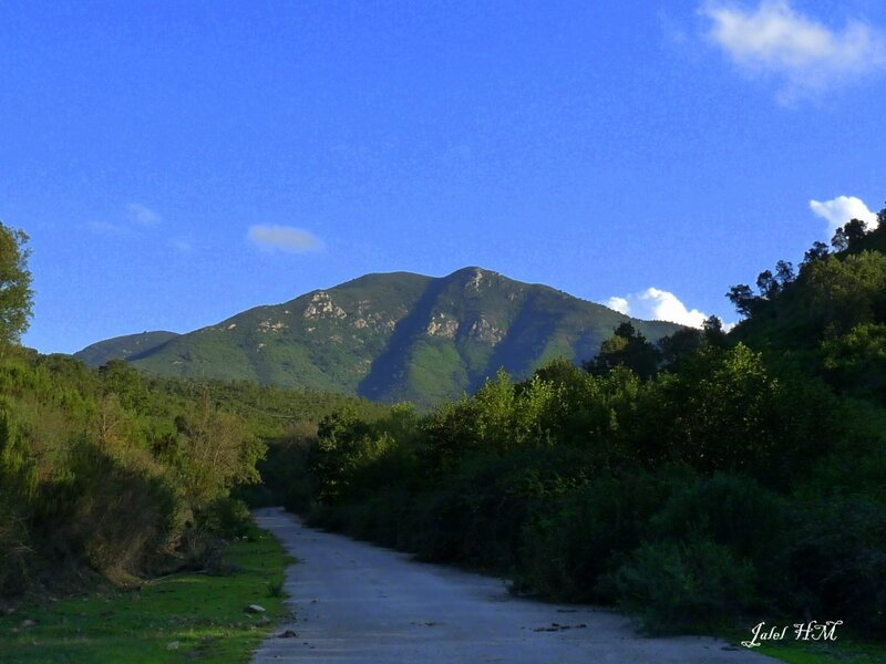 Road to a mountain peak