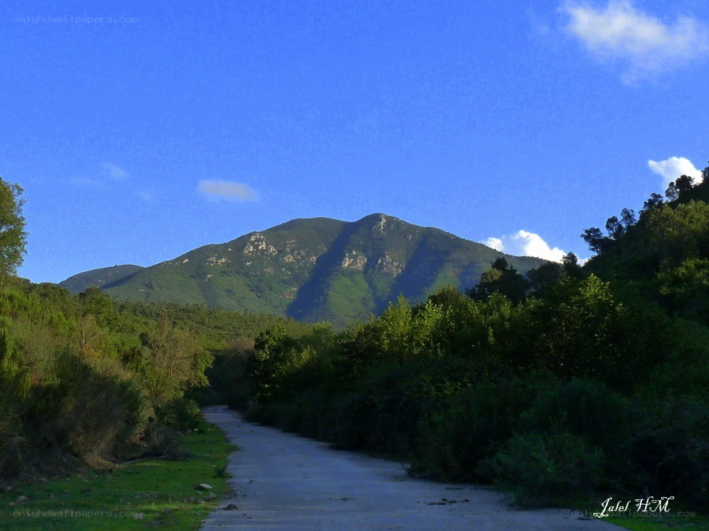 Road to a mountain peak