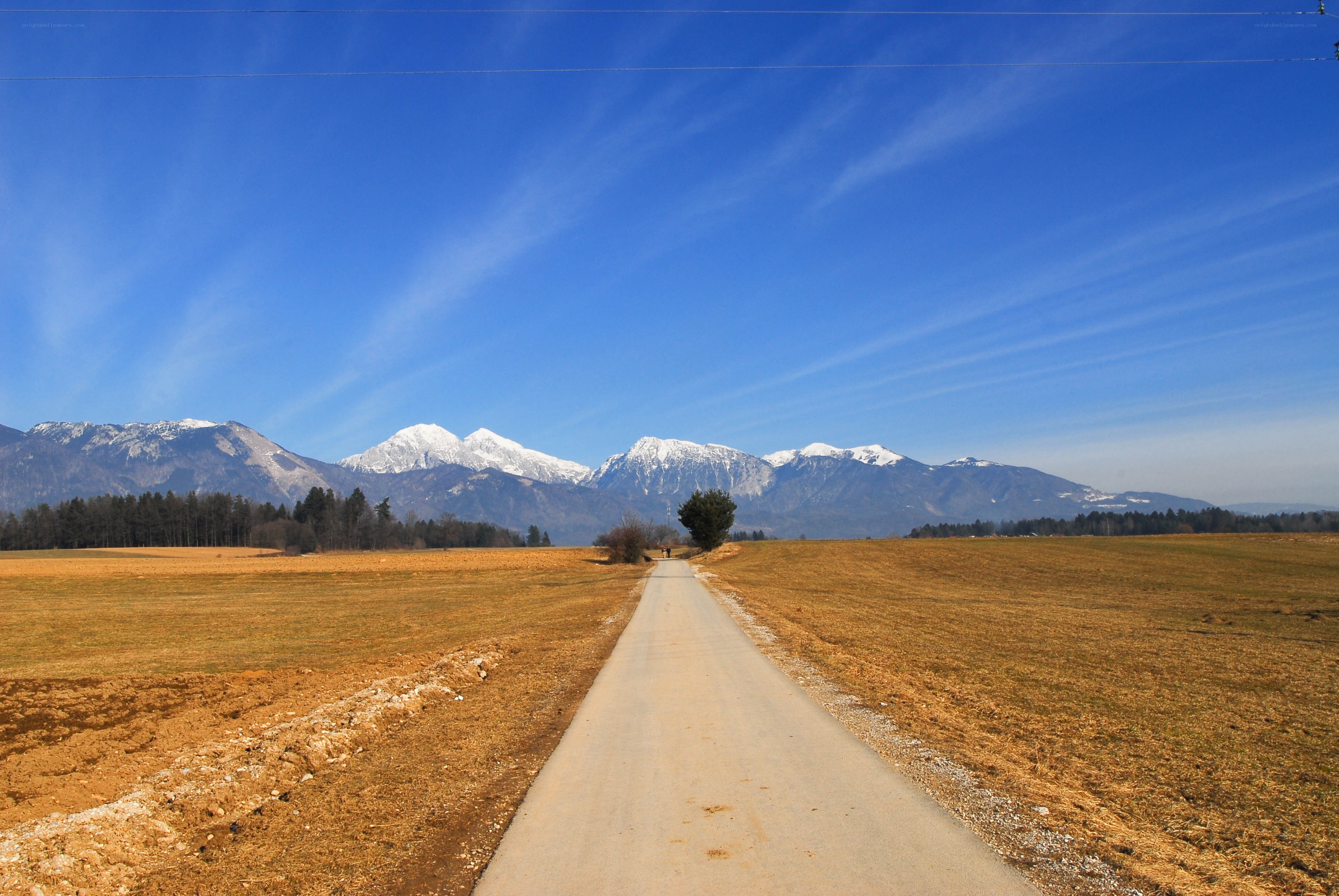 Road to snow-capped mountains