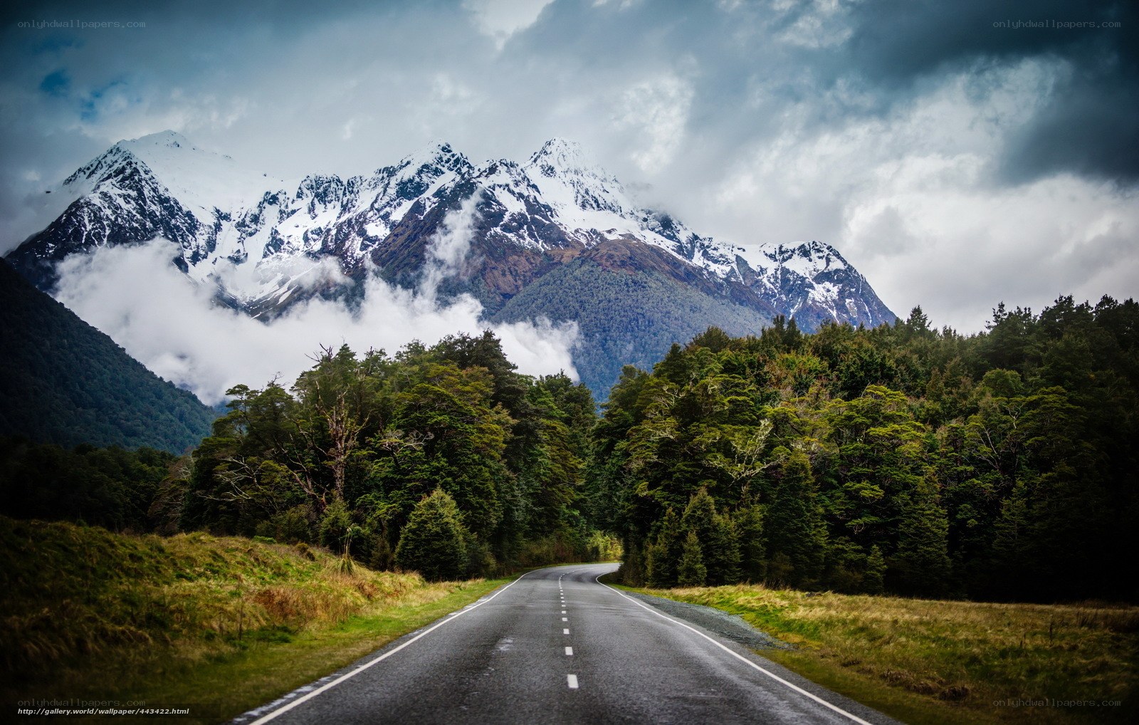 Road to snow-capped mountains