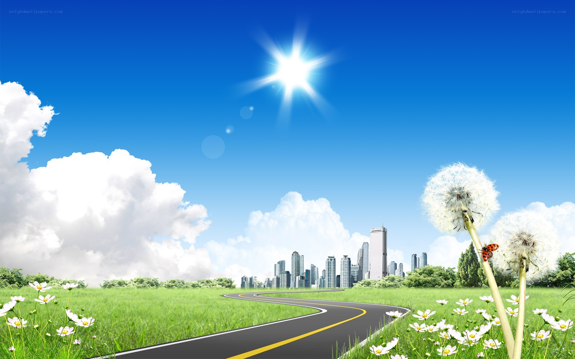 Road to the city