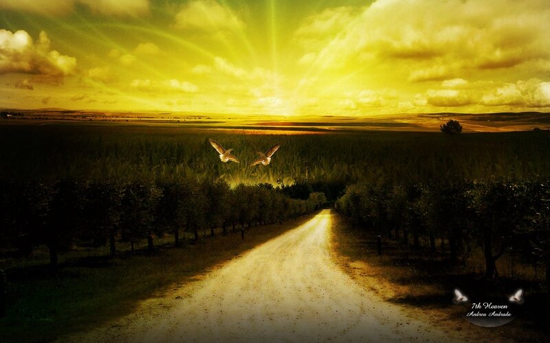 Road to the golden horizon