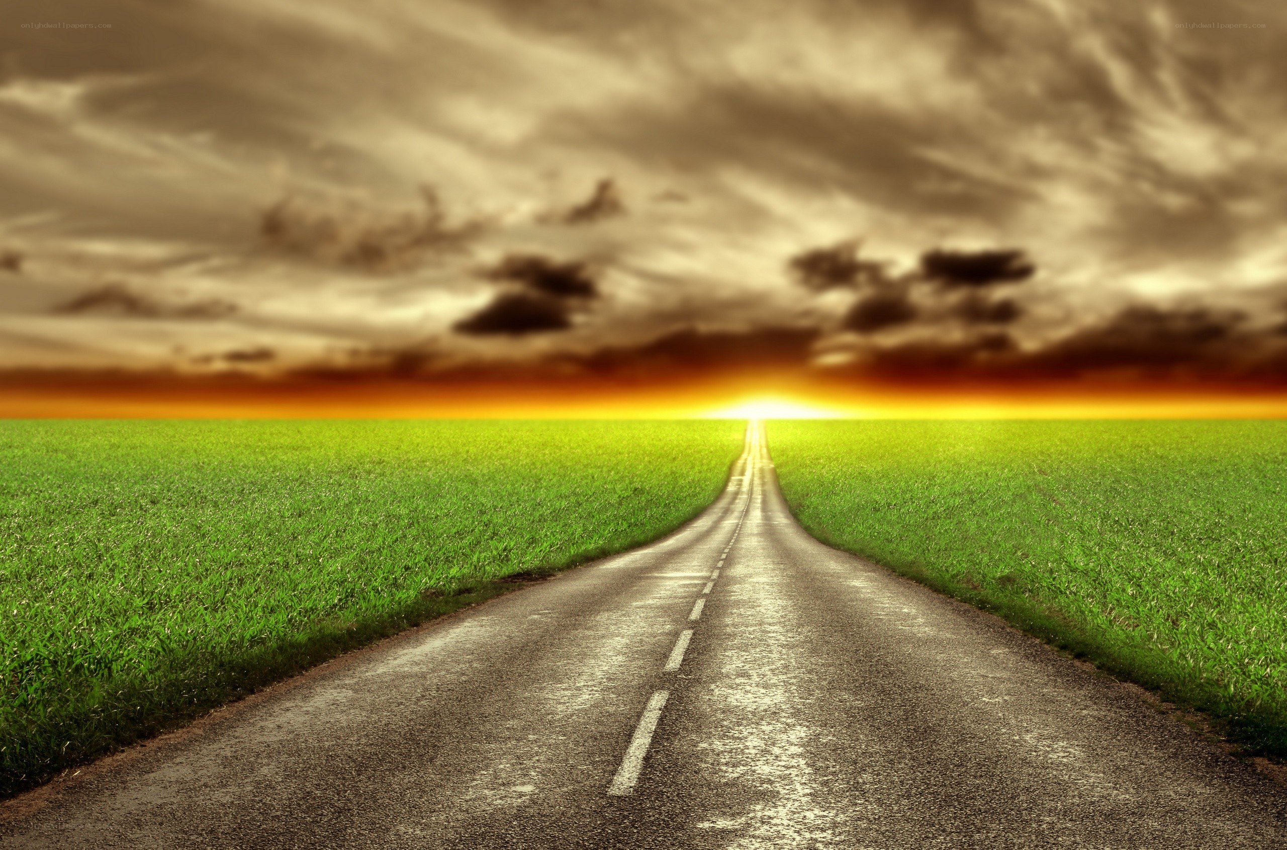 Road to the horizon