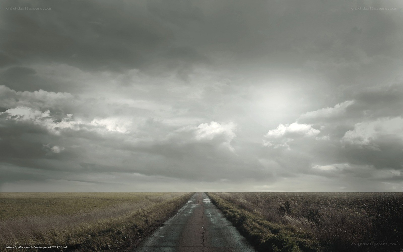 Road to the horizon