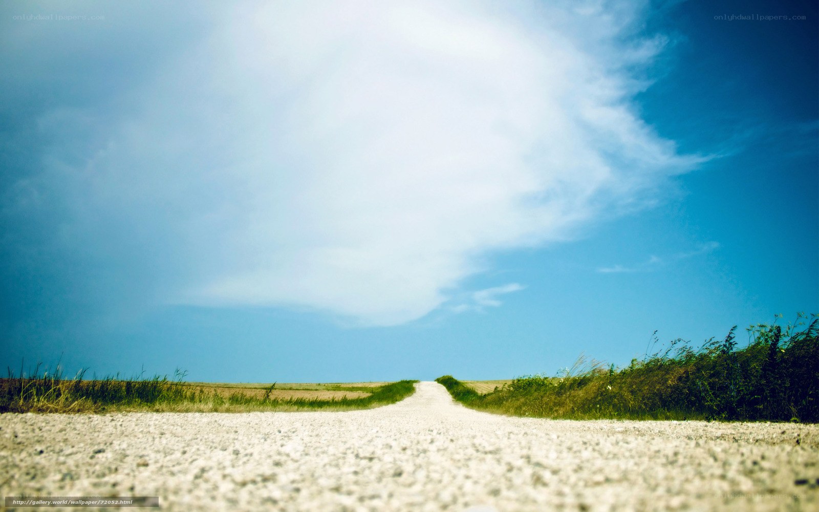 Road to the horizon