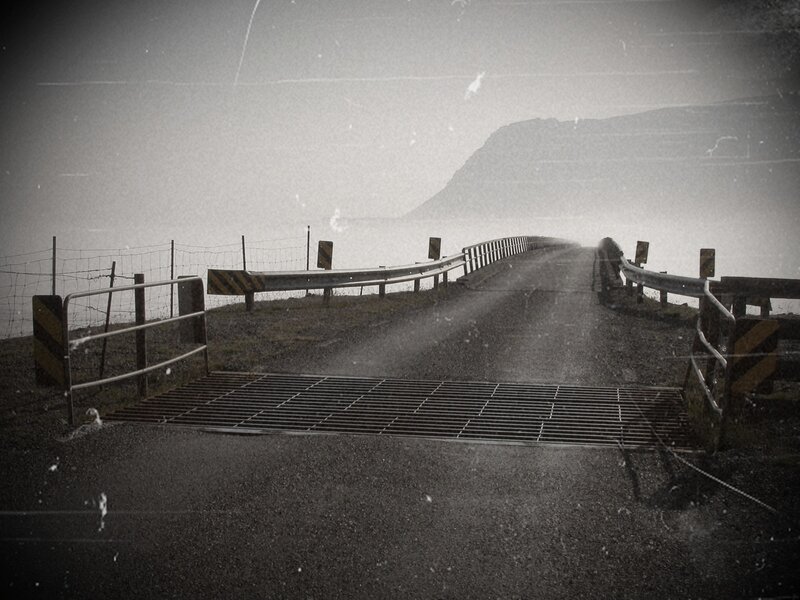 Road to the sea