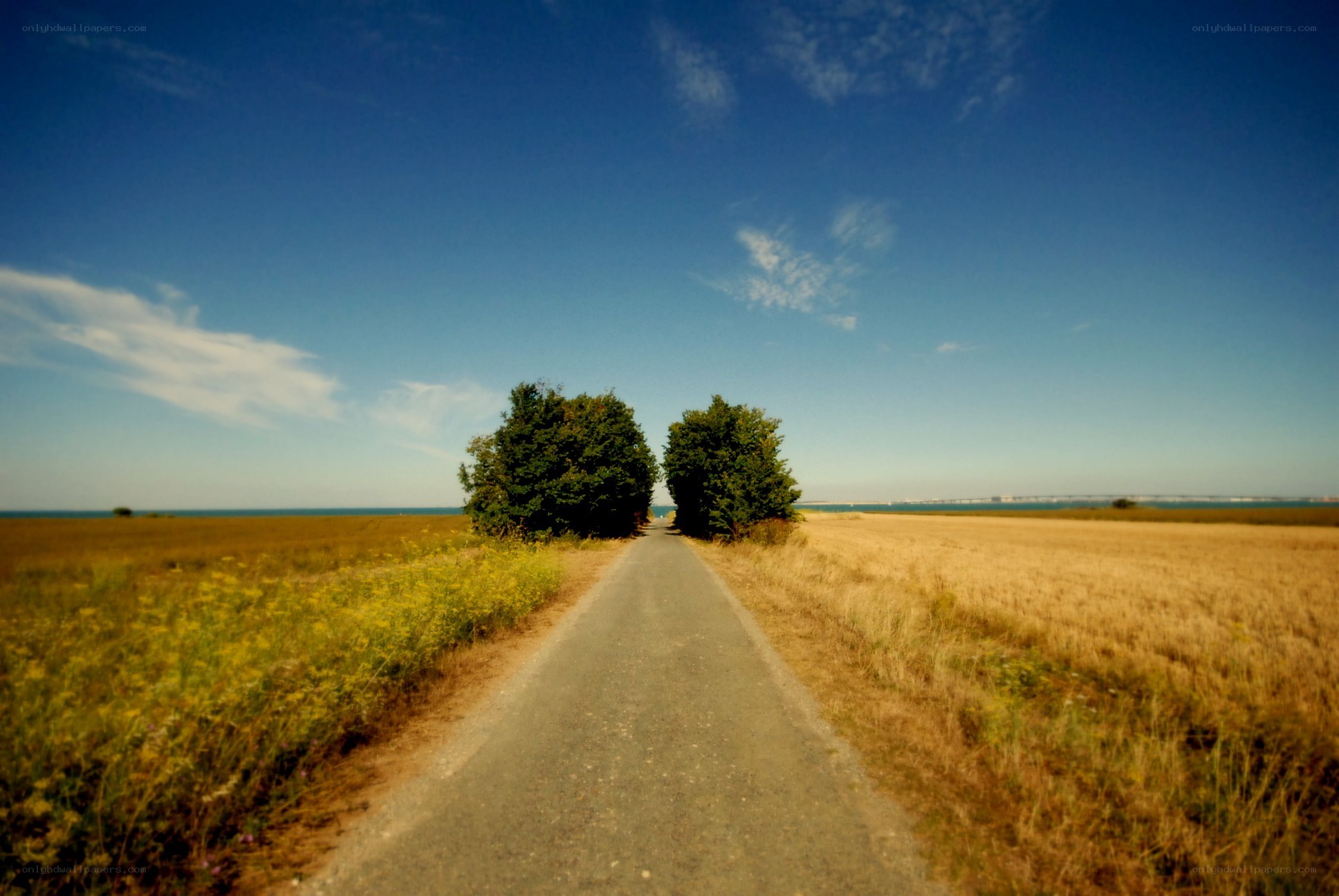 Road to the sea