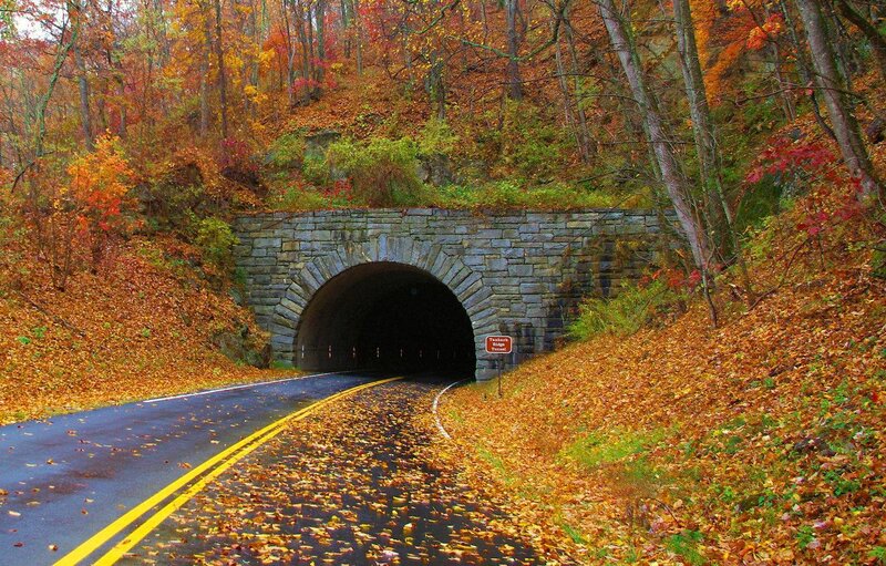 Road Tunnel in Autumn