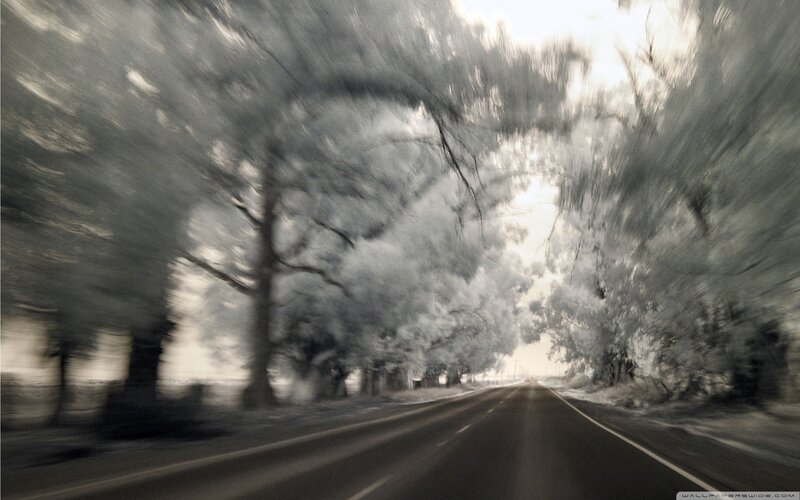 Road tunnel of trees in motion