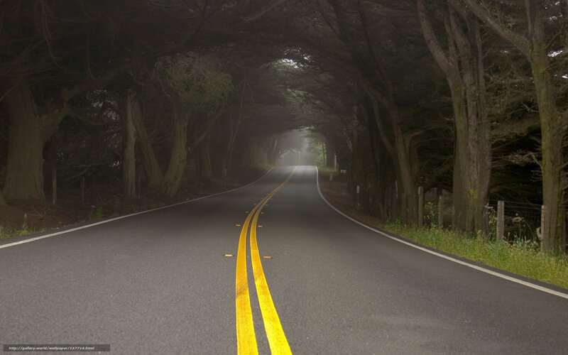Road tunnel under trees