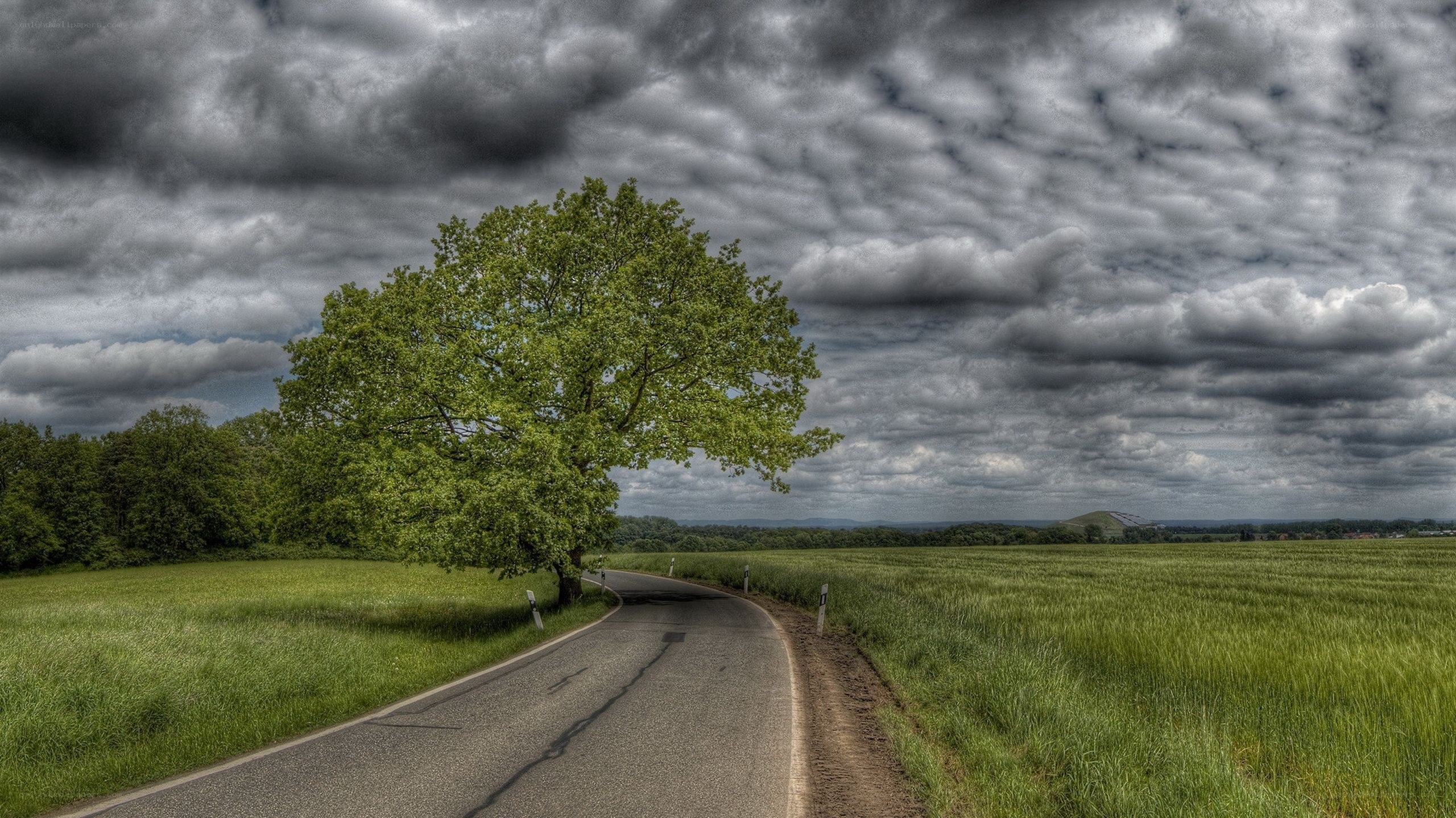 Road under stormy sky