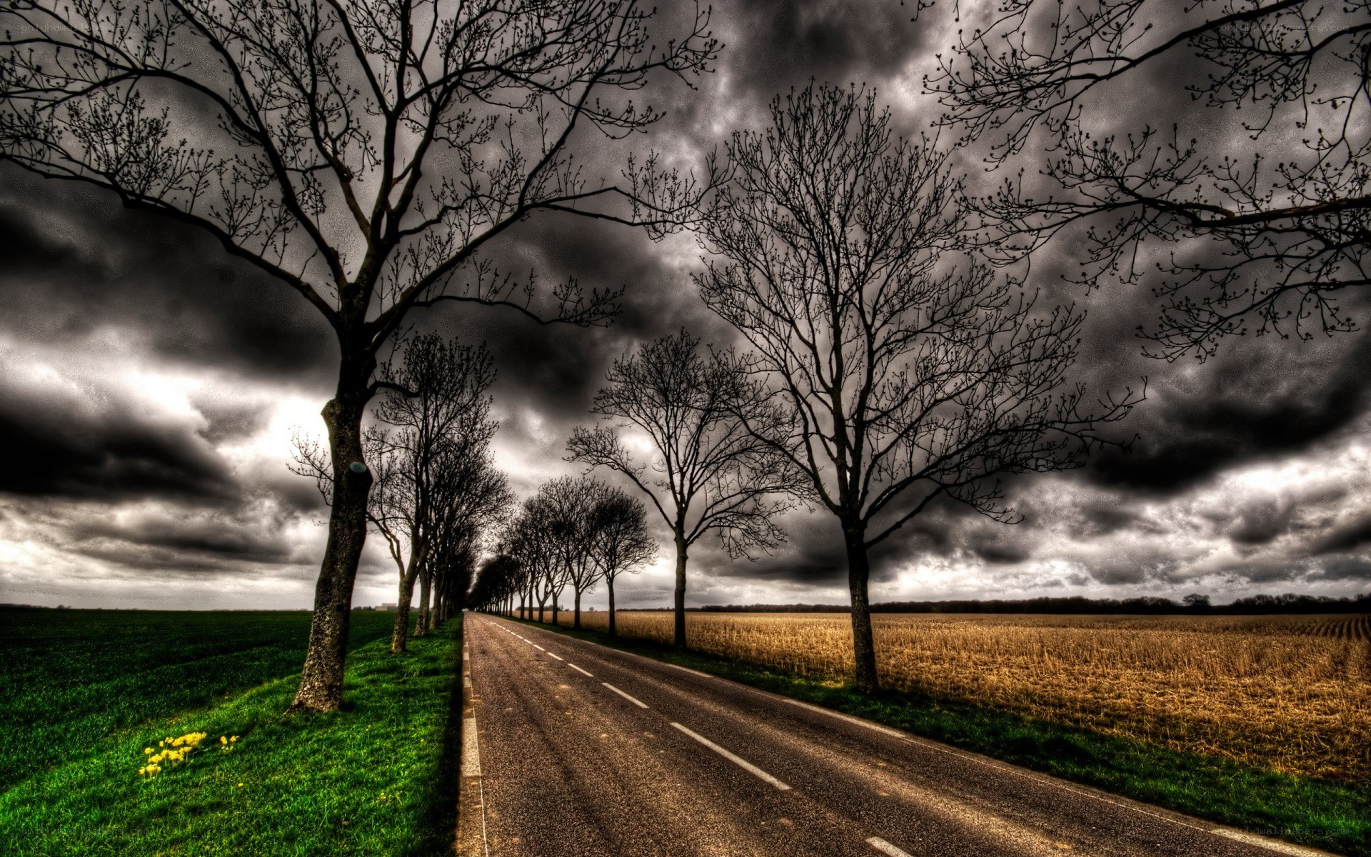 Road under stormy sky