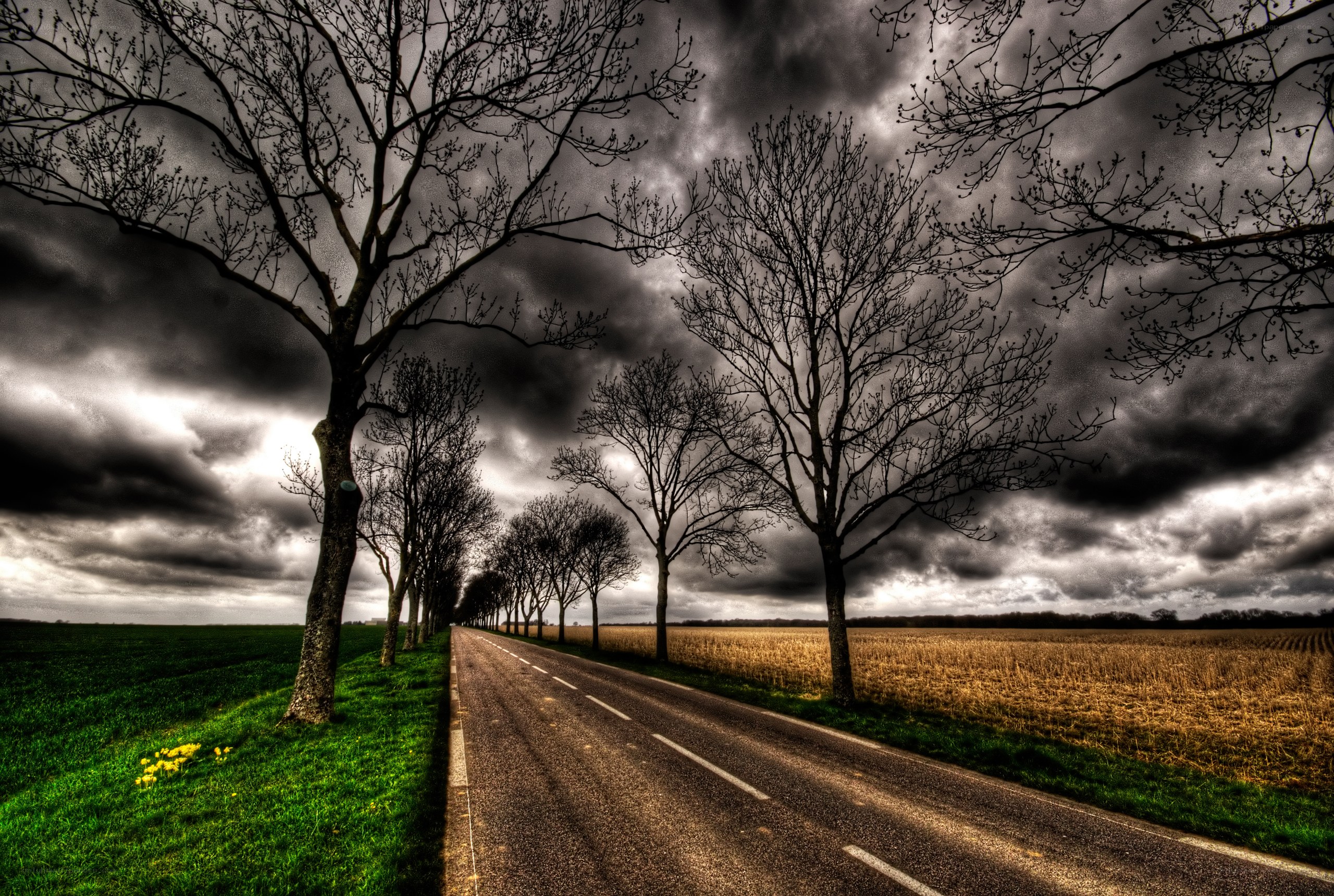 Road under stormy sky