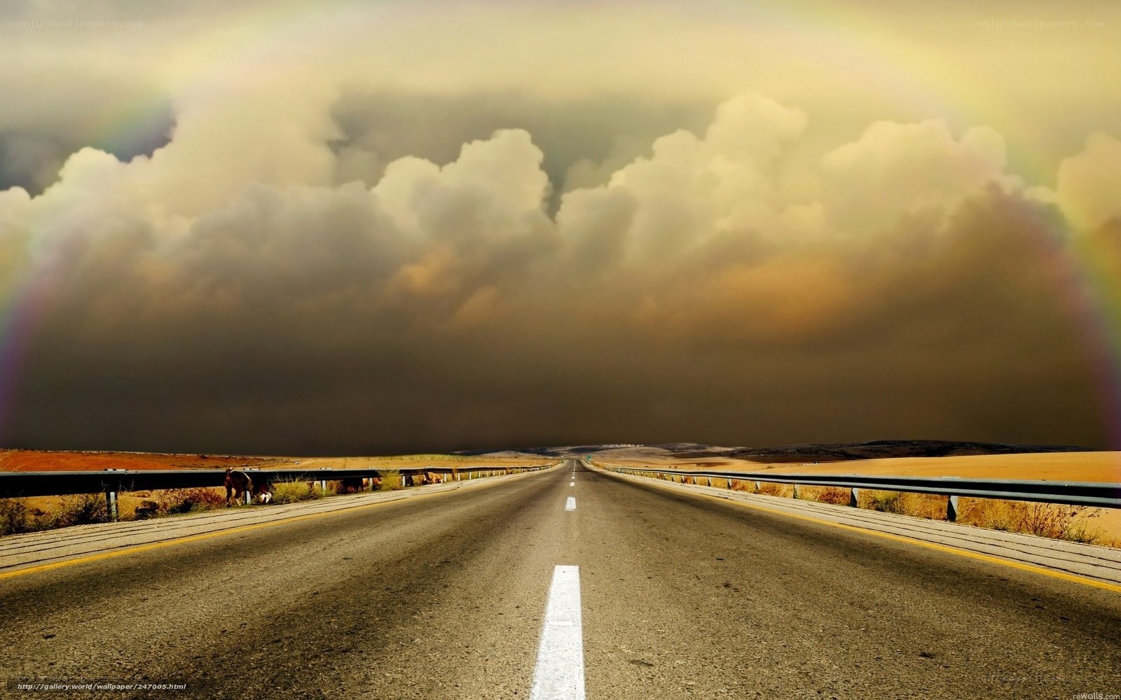 Road under stormy sky with rainbow