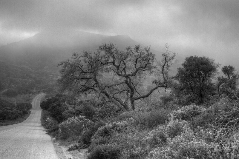 Road Winding Through Fog