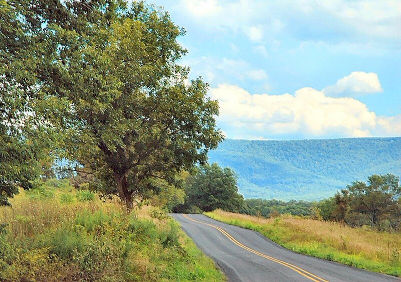 Road Winding Through Hills — Green