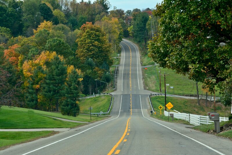 Road Winding Through Trees