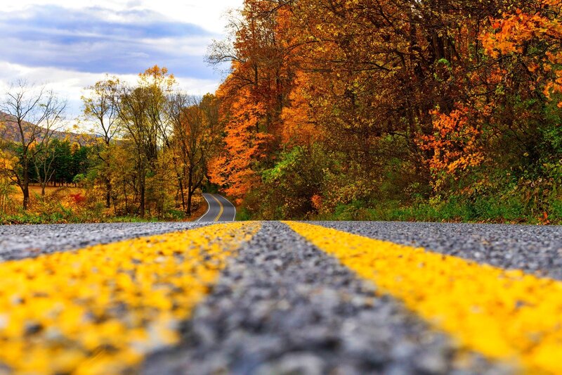 Road with Autumn Trees — Yellow