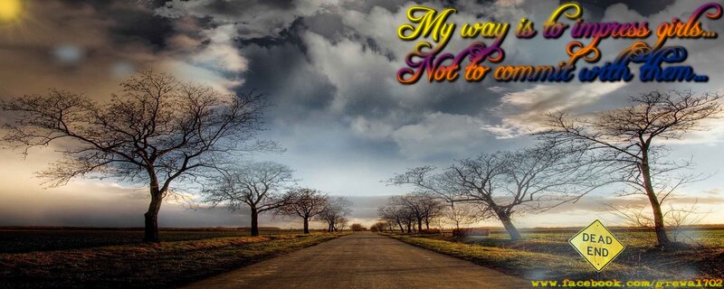 Road with Bare Trees — Gray