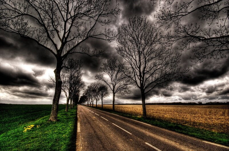 Road with Bare Trees