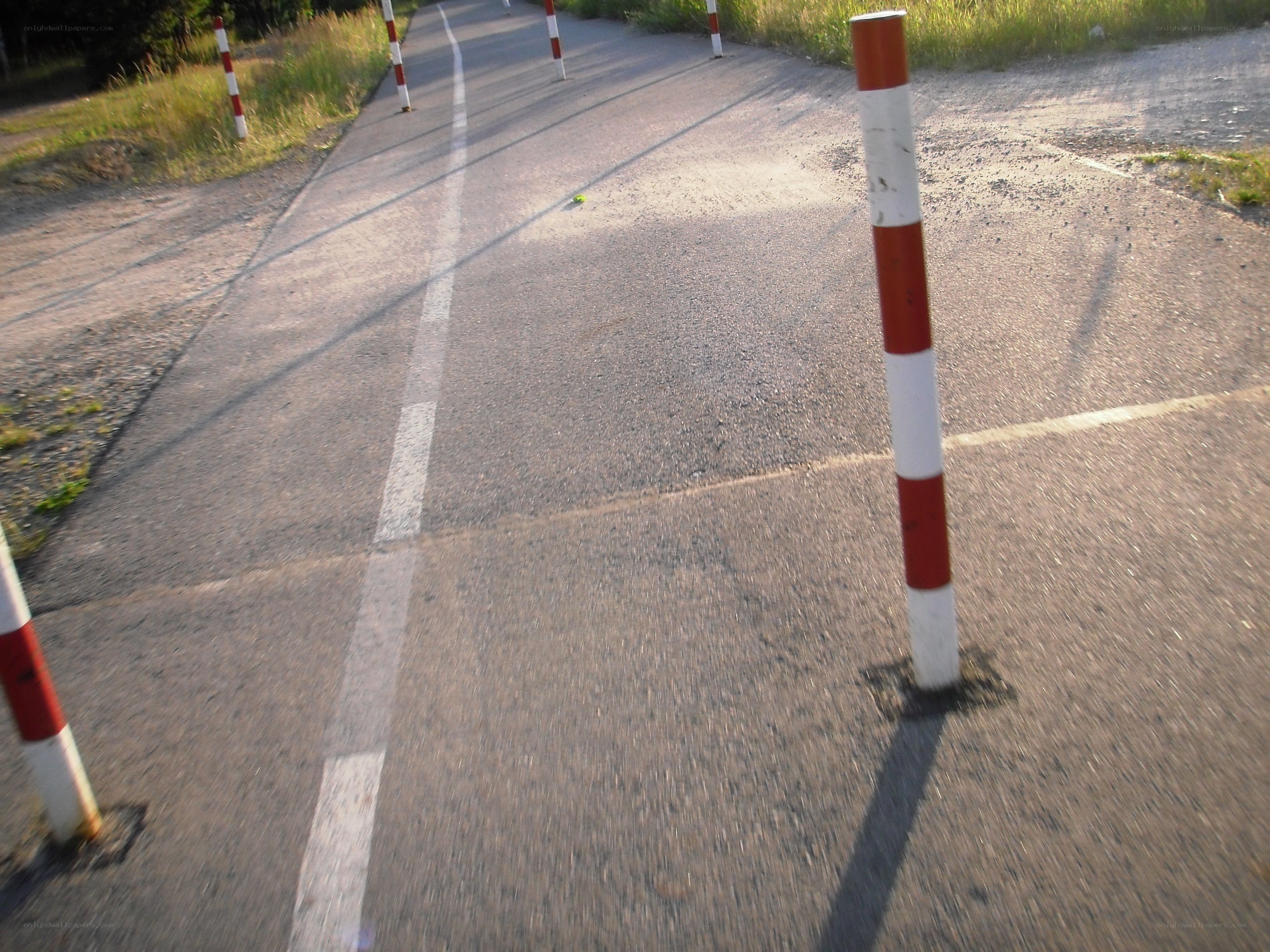 Road with bollards and white line