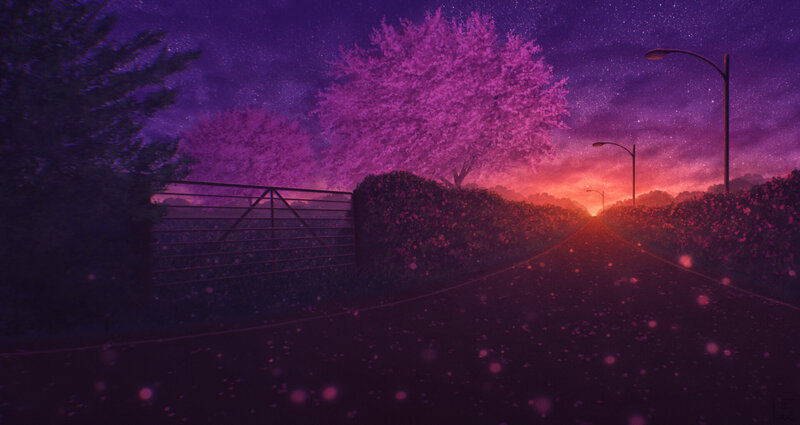 Road with Cherry Blossom Trees