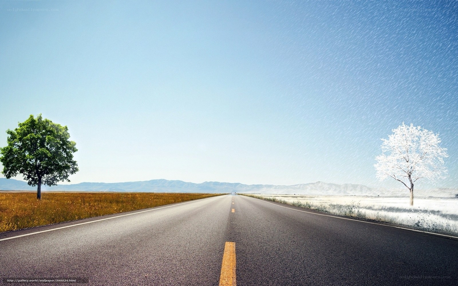 Road with contrasting seasons