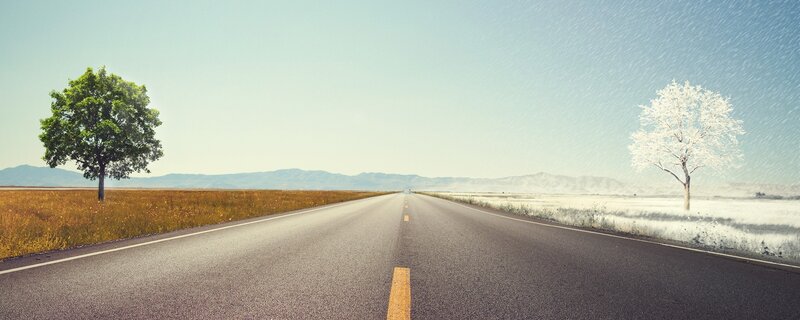 Road with contrasting seasons