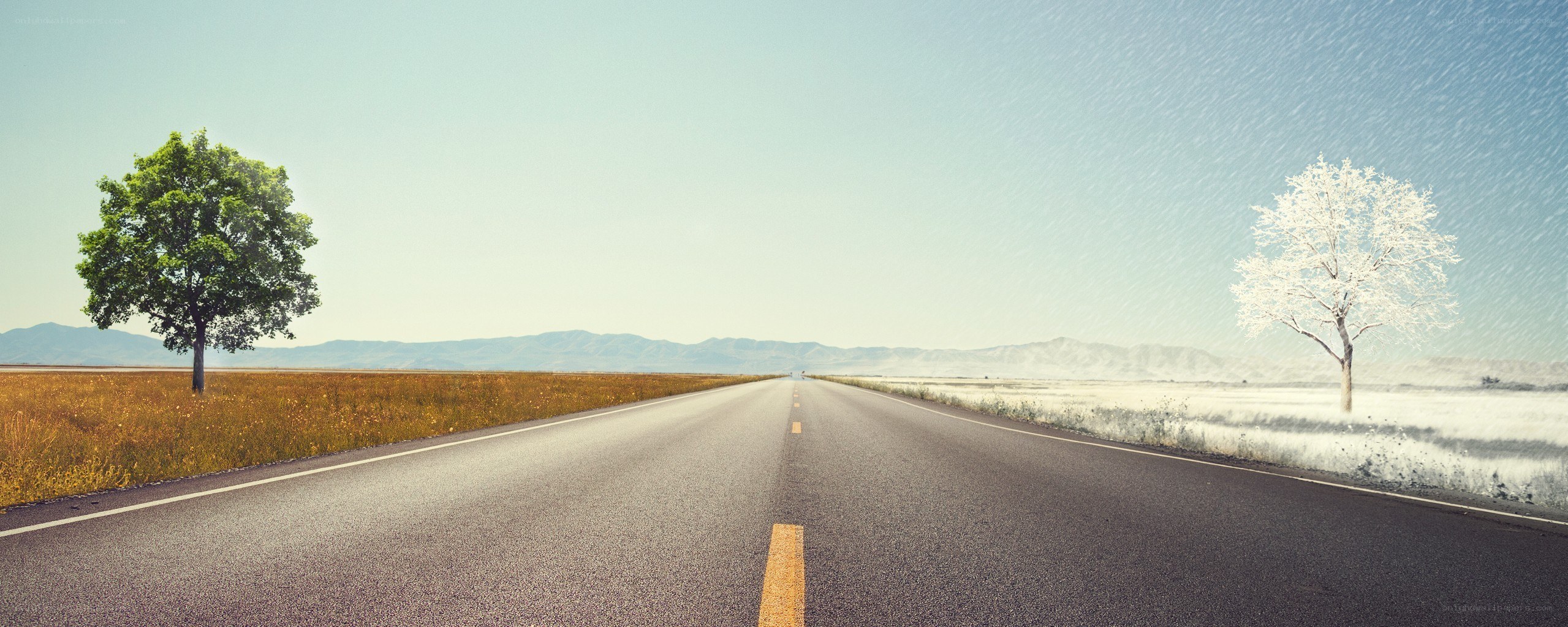 Road with contrasting seasons