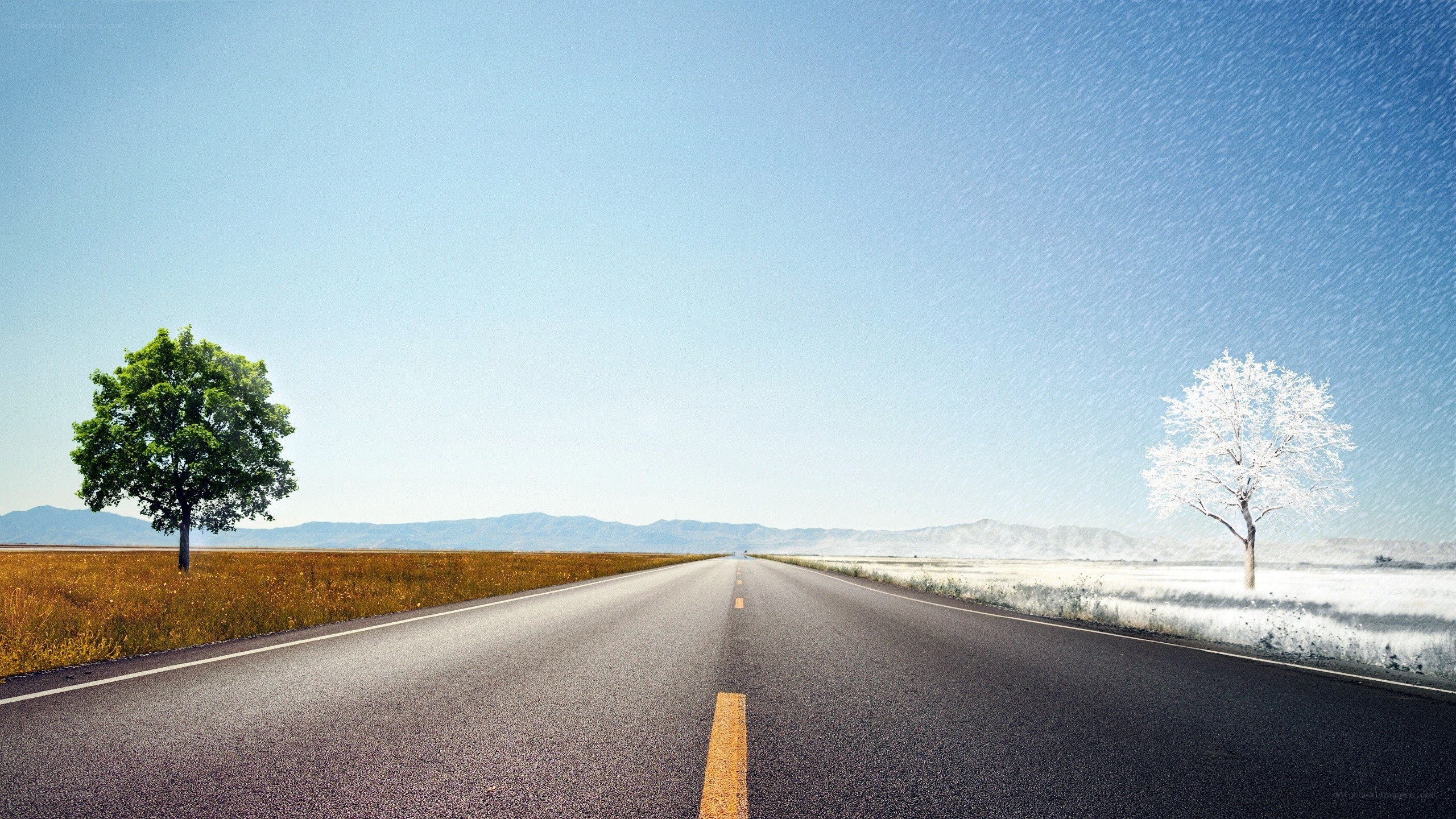 Road with contrasting seasons