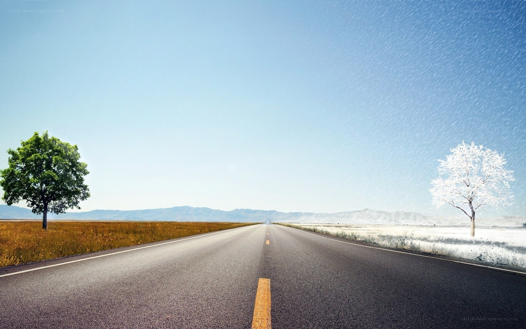 Road with contrasting seasons