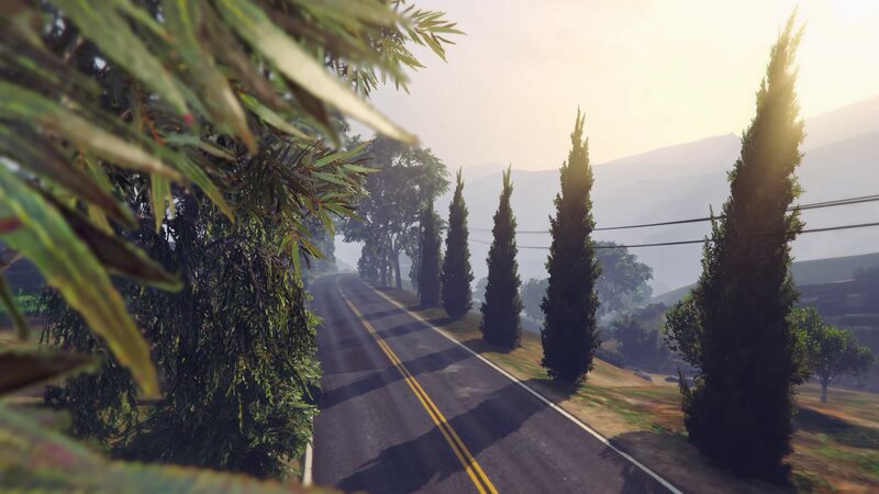 Road with Cypress Trees