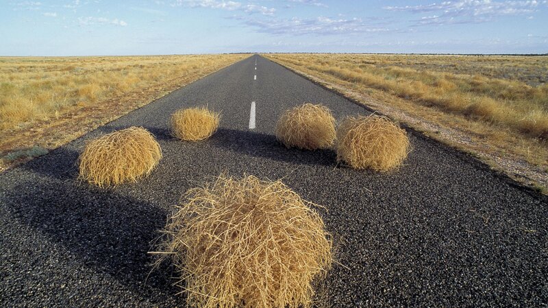 Road with hay bales