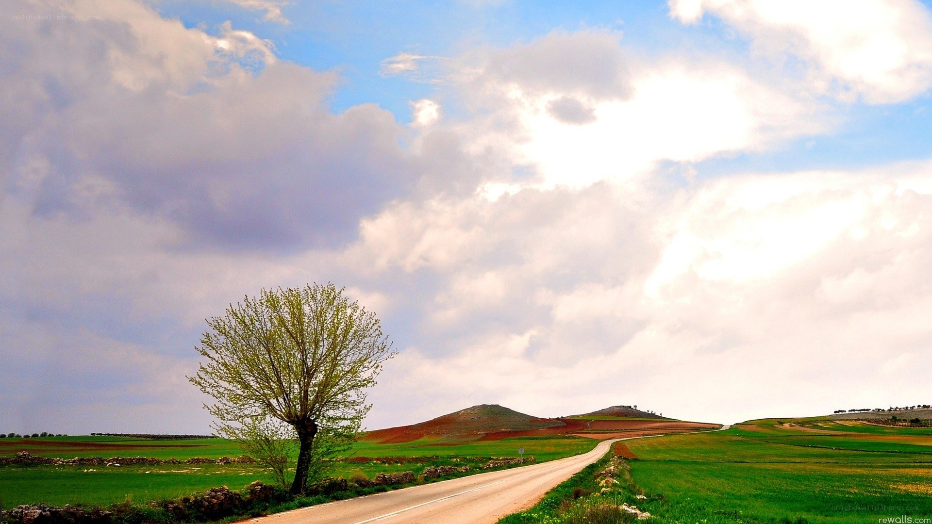 Road with lone tree and rolling hills