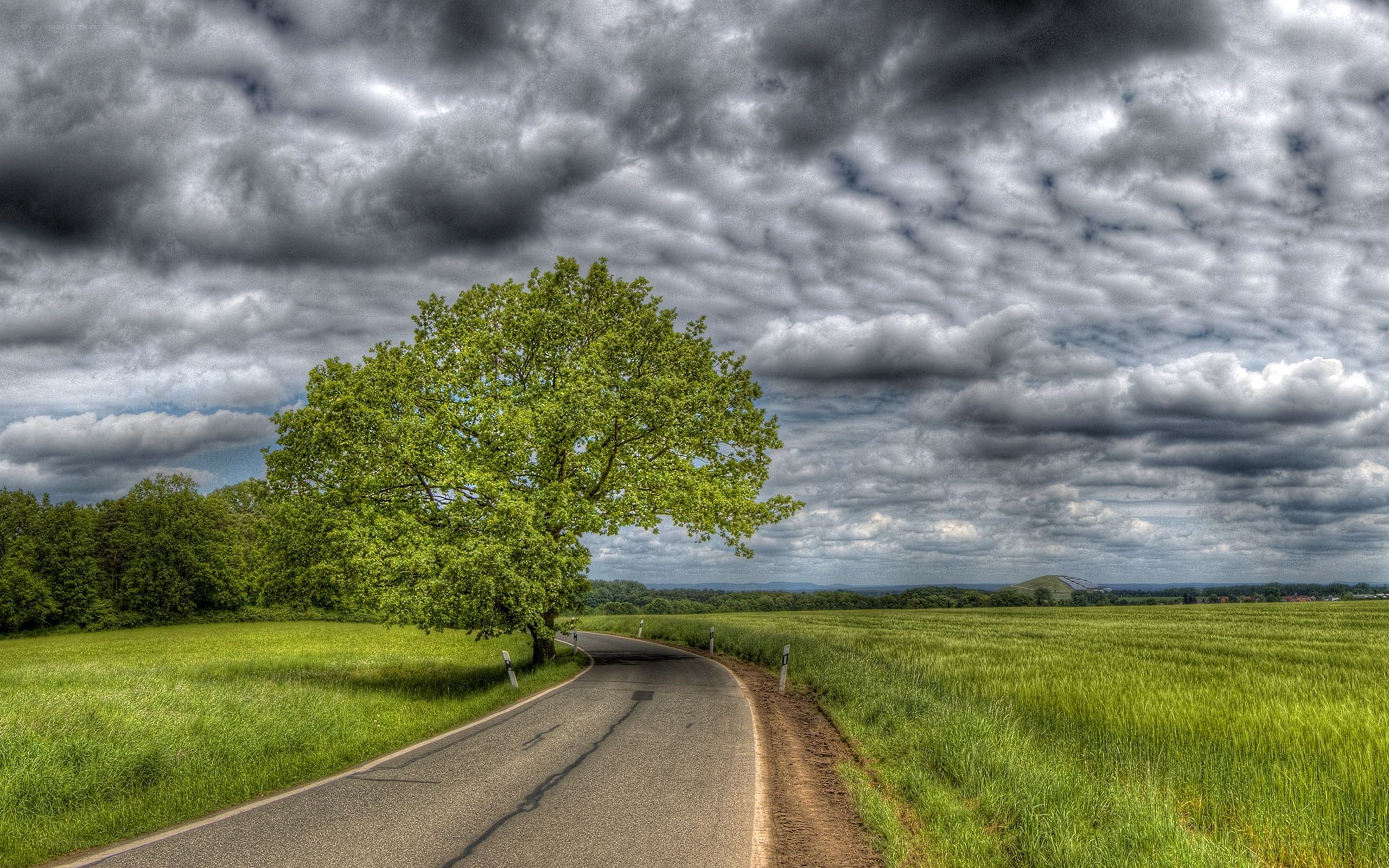 Road with lone tree under stormy sky