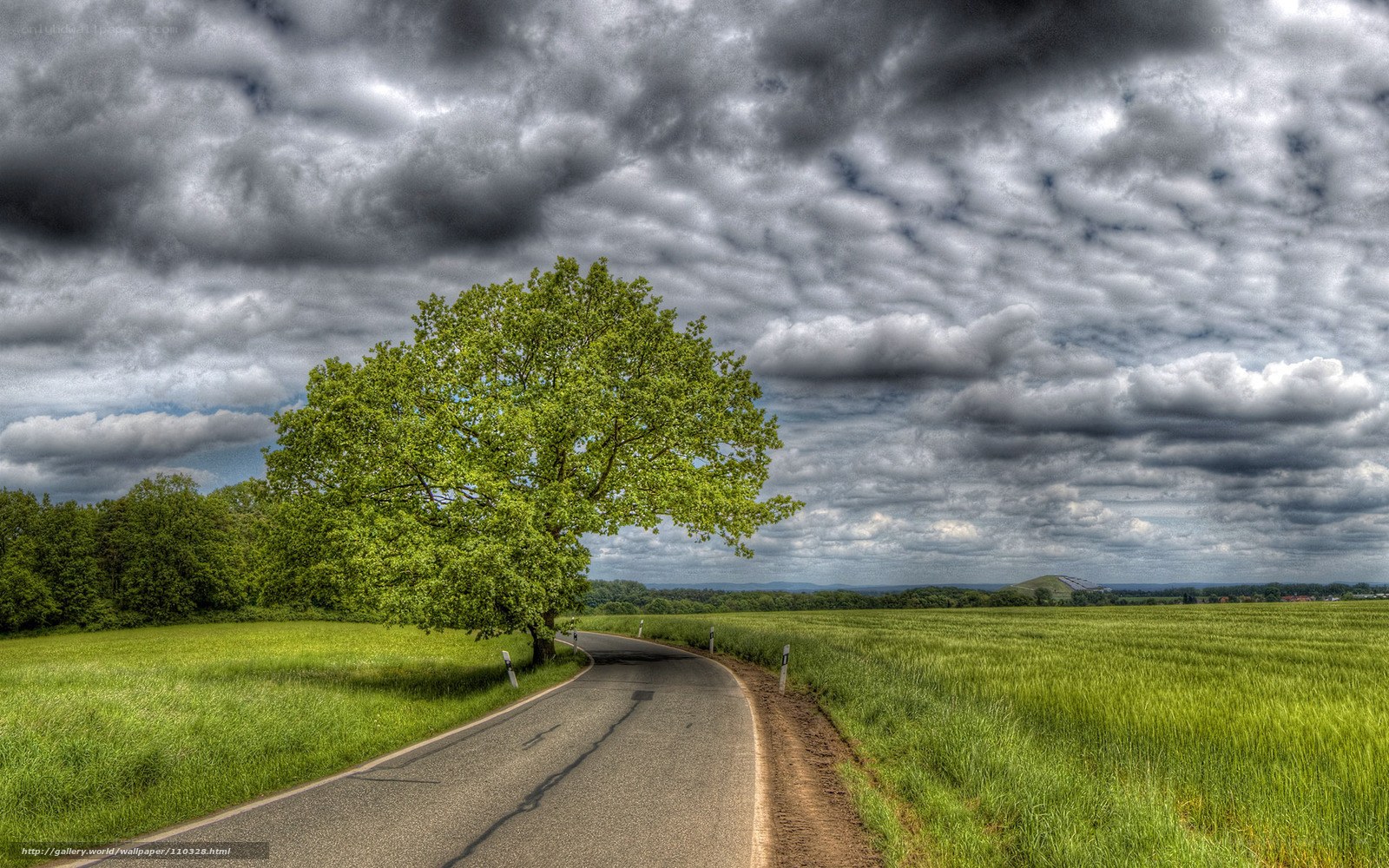 Road with lone tree under stormy sky