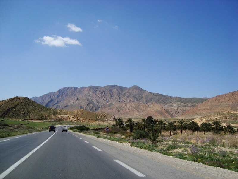 Road with Mountains — Blue, Serene