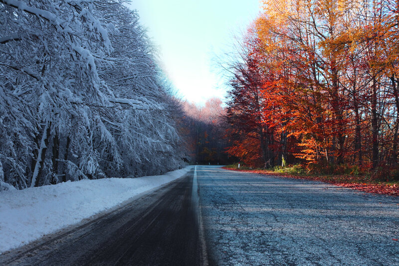 Road with Snow and Autumn Trees