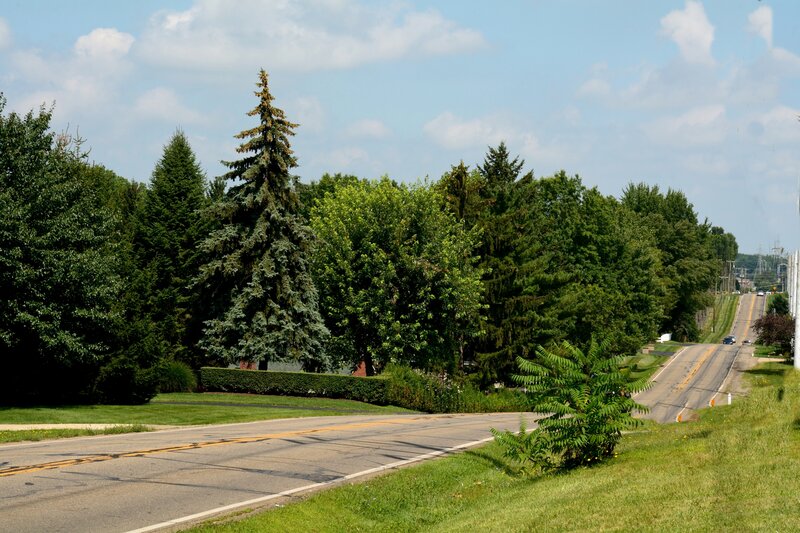 Road with Trees — Green, Calm